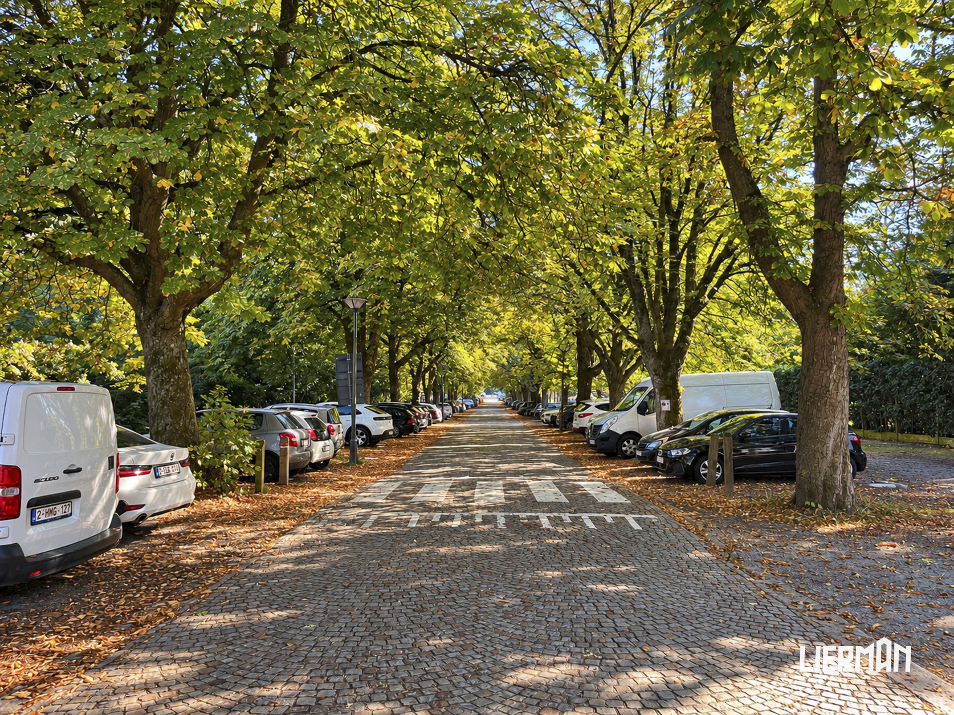 Art deco herenwoning met garage en grote tuin rechtover Osbroek - foto 2