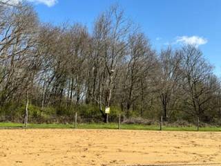 Landbouwgrond welke vrij is van pacht en huur. Maw onmiddelijik beschikbaar. Door het ongebruik zijn er wilde bomen ontstaan.Deze landbouwgrond is...