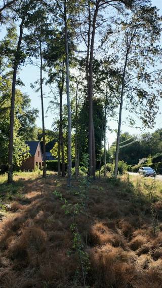 <h3><span><strong>Unieke bouwgrond op een uitzonderlijke locatie in Oud-Heverlee</strong></span></h3><p>In de <strong>Weertsedreef in Haasrode (Oud-Heverlee)</strong> bevindt zich deze bijzonder mooi gelegen bouwgrond, op een unieke en uiterst groene locatie <strong>aan de rand van het Meerdaalwoud</strong>.</p><p>De Weertsedreef vormt een <strong>residentieel en bijzonder rustig bouwlint</strong>, omgeven door groen en gekenmerkt door voornamelijk vrijstaande woningen, charmante landhuizen en villa’s op ruime percelen. Het uitgesproken residentiële karakter, de rust en de nabijheid van uitgestrekte natuurgebieden maken dit tot een van die locaties waar slechts uitzonderlijk vastgoed op de markt komt.</p><p>De omgeving is een absolute troef. <strong>Heverleebos en Meerdaalwoud liggen letterlijk binnen handbereik</strong>, terwijl ook de <strong>Zoete Waters</strong> vlakbij gelegen zijn. Wandelen, fietsen en genieten van de natuur beginnen hier vrijwel aan de voordeur. Tegelijkertijd geniet de locatie van een uitstekende bereikbaarheid richting <strong>Leuven, Haasrode en Oud-Heverlee.</strong></p><p>Een <strong>zeldzame opportuniteit voor wie een vrijstaande woning of villa wil realiseren op een residentiële locatie waar ruimte, natuur en privacy centraal staan</strong>. Bel of mail Jacky voor meer info op 0495 53 46 49 of jacky@connect-immo.be </p><p>Wglk-Gvkr-Gvv-Gdv</p>
