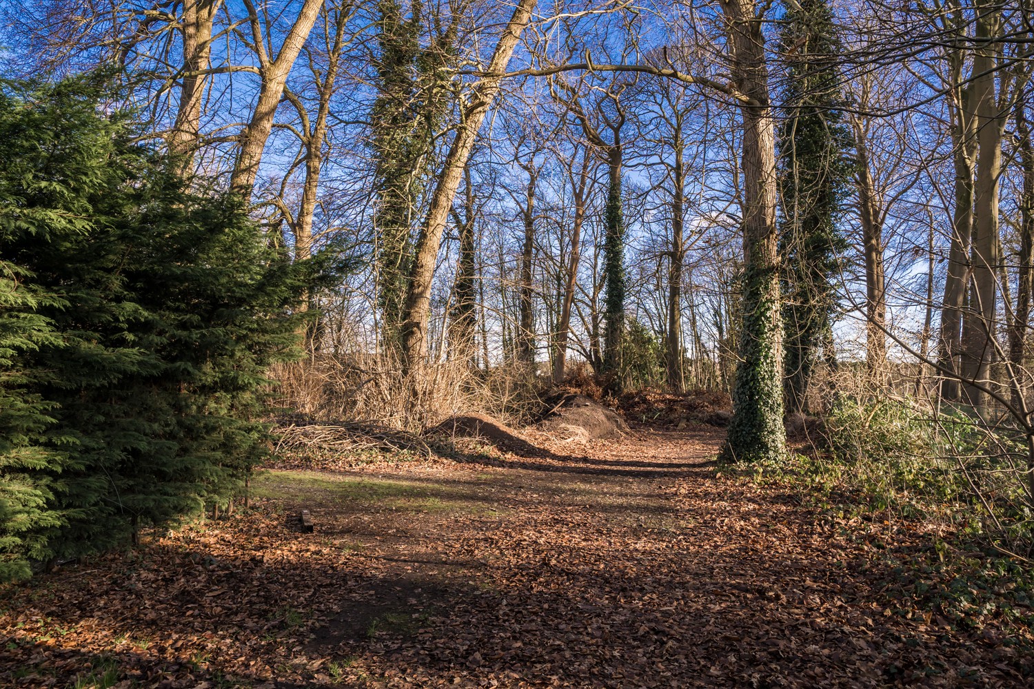 Exclusieve bouwgrond aan de Lembeekse Bossen! - foto 2