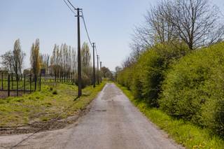Te koop: Hoeve met ruime grond in Lichtervelde<br /><br />In de Moerplasstraat 3 te Lichtervelde bevindt zich deze hoeve op een perceel van 1350 m².<br /><br />De woning is volledig te renoveren, maar biedt tal van mogelijkheden voor wie op zoek is naar een project dat volledig naar eigen smaak kan worden ingericht. Dankzij de ruime grondoppervlakte is dit een interessante opportuniteit voor zowel particulieren als investeerders.<br /><br />De ligging nabij de E403 zorgt bovendien voor een vlotte bereikbaarheid en een uitstekende verbinding naar omliggende steden.<br /><br />Extra troef: deze eigendom komt eveneens in aanmerking voor Ventilus-vergoeding. Meer informatie hierover is verkrijgbaar via Simon.<br /><br />Troeven:<br />✔ Perceeloppervlakte van 1350 m²<br />✔ Goede bereikbaarheid dankzij ligging nabij de E403<br />✔ Veel renovatie- en inrichtingsmogelijkheden<br />✔ Interessant voor handige kopers of investeerders<br />✔ Mogelijkheid tot Ventilus-vergoeding<br /><br />Interesse?<br />Neem gerust contact op voor meer informatie of een bezichtiging via Simon op 0498/123.708 of via simon@vicusvastgoed.be