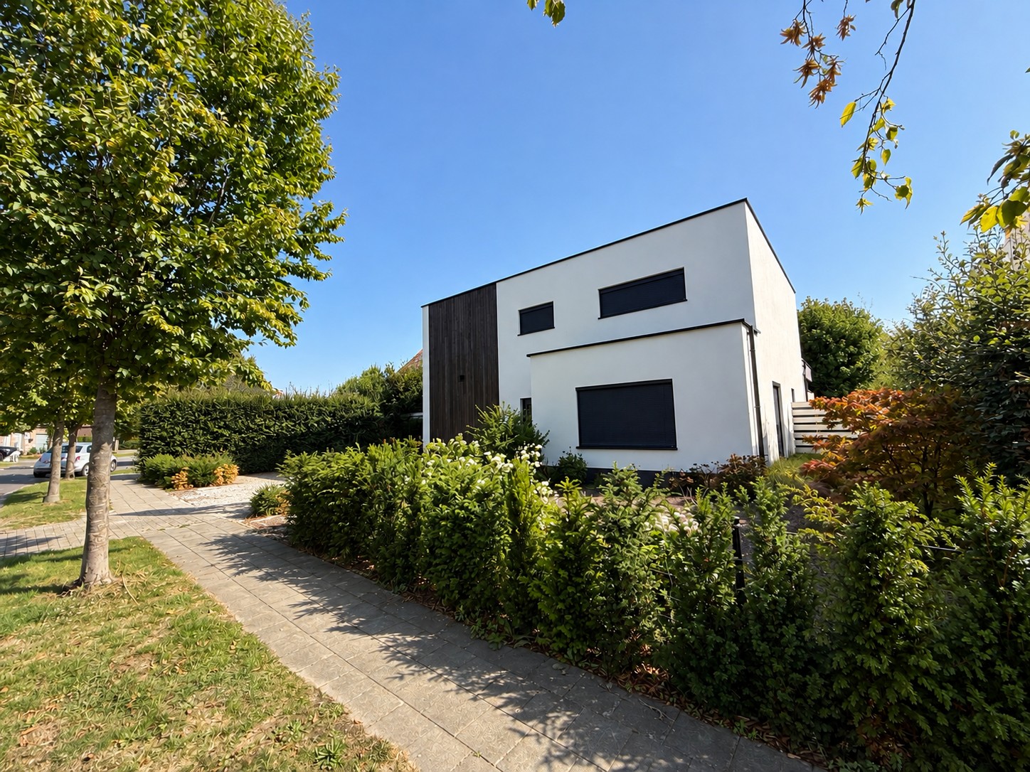 Exclusief wonen in Lint: een luxueuze villa waar comfort en kwaliteit elkaar vinden - photo 5