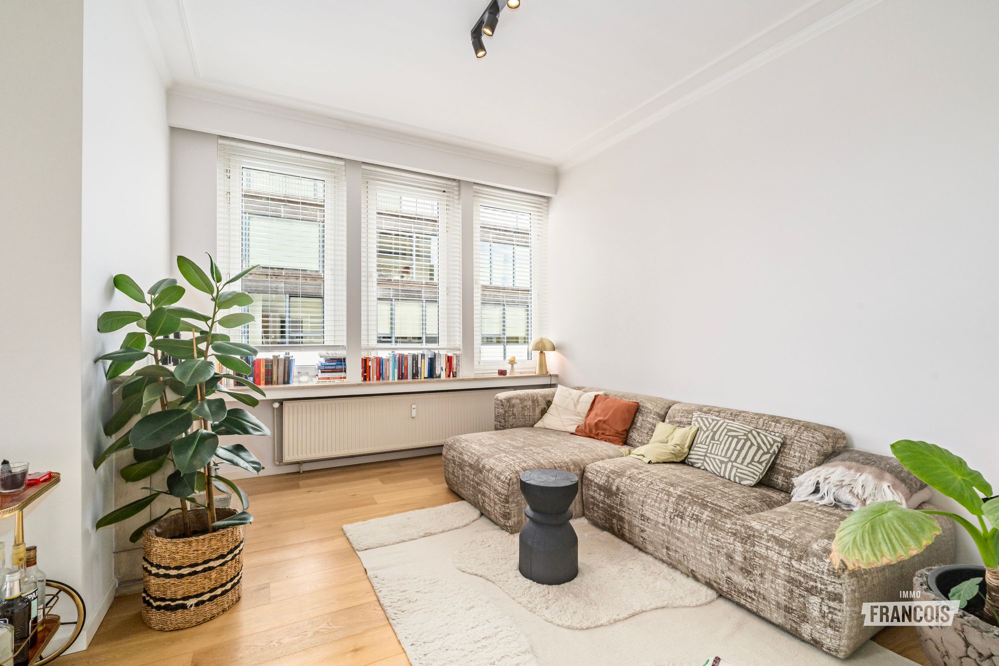 Prachtig penthouse met 1 slaapkamer en een terras van ±60 m² | TE KOOP - foto 4