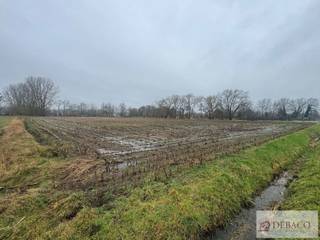 Goed gelegen landbouwgrond met opp van 12.630m² te Putte!Deze landbouwgrond is vrij van pacht!De landbouwgrond is makkelijk te bereiken en is gelegen...