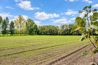 <p><span>Zuidgerichte bouwgronden voor open bebouwing in Sint-Gillis-Waas</span></p><p><span>In de Ettingestraat in Sint-Gillis-Waas worden vier ruime bouwgronden voor open bebouwing afzonderlijk te koop aangeboden. De percelen combineren een zuidgerichte tuin met een ligging aan achterliggend agrarisch gebied.</span></p><p><span>Met een oppervlakte van circa 1.200 m² per lot en een perceelsbreedte van ongeveer 25 meter bieden deze gronden volop ruimte voor een vrijstaande woning met een ruime tuin. Een mooie gelegenheid om uw bouwplannen te realiseren in een groene omgeving.</span></p><p><span>De beschikbare bouwloten:</span></p><ul><li><span>Lot 1: 1.210 m²</span></li><li><span>Lot 2: 1.205 m²</span></li><li><span>Lot 3: 1.202 m²</span></li><li><span>Lot 4: 1.224 m²</span></li></ul><p><span>Ook het achterliggende agrarische perceel, lot 5, met een oppervlakte van 5.369 m² wordt afzonderlijk te koop aangeboden. Dit perceel maakt geen deel uit van de bouwloten.</span></p><p><span>Neem contact op voor de prijs per lot, het verkavelingsplan en de bijhorende bouwvoorschriften.</span></p><p><span> </span></p>