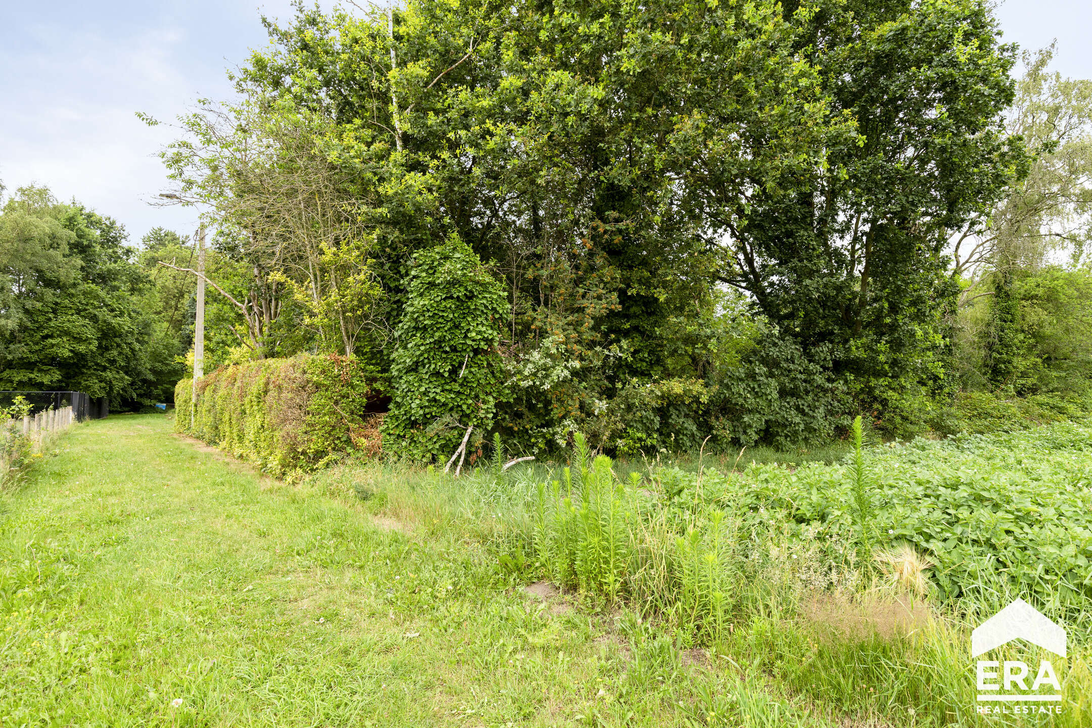 Prachtig perceel hartje Geel op 6.506,96m². - foto 4