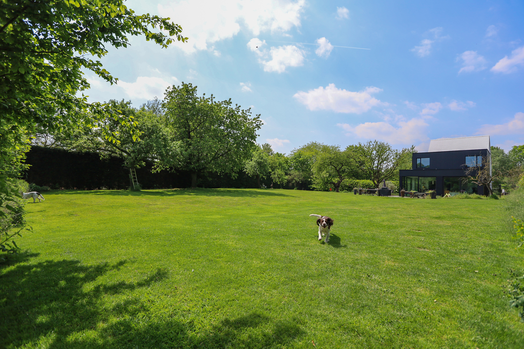 Exclusieve woning met prachtig groenzicht - foto 4
