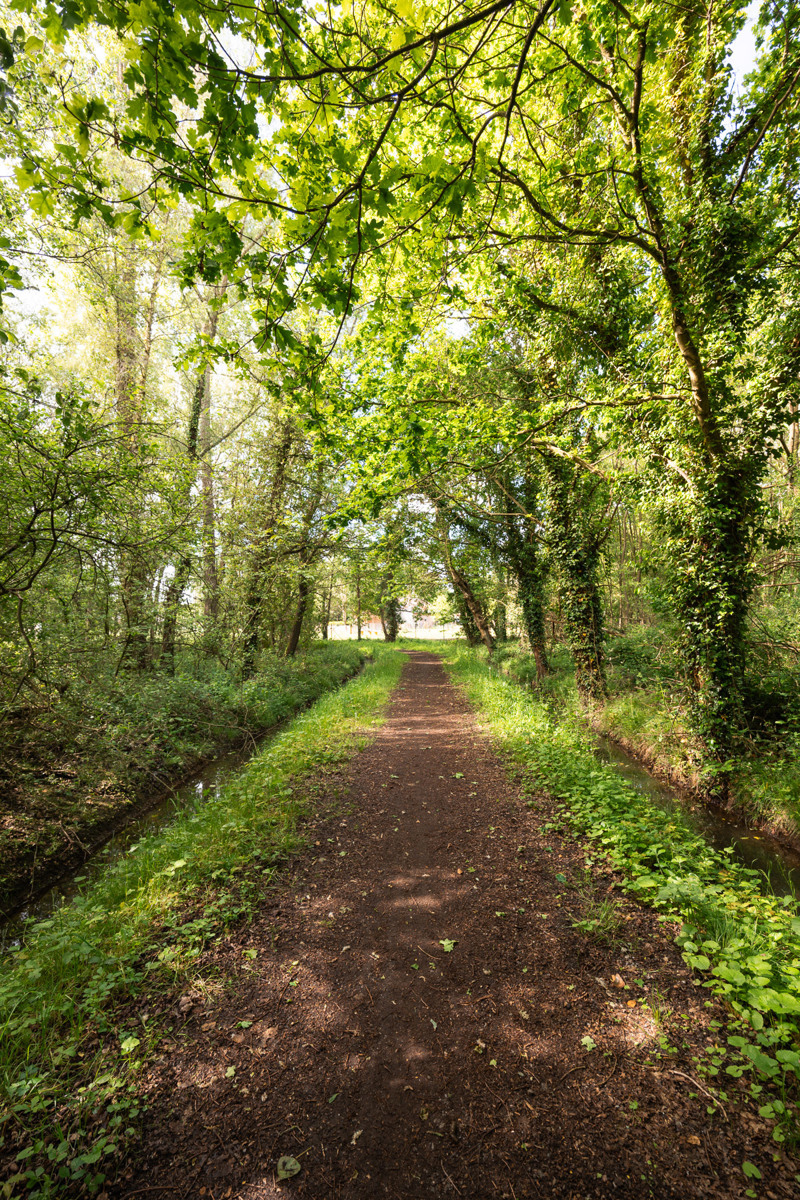 Prachtig stuk bosgrond van 47a18ca in groene omgeving - foto 5