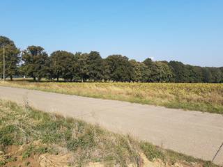 Land for sale in Fernelmont