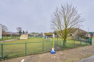 <strong>Gunstig gelegen bouwgrond van 6a 77ca voor het bouwen van een open bebouwing.</strong> De grond is gelegen langs de Panhovenstraat en biedt zeer veel mogelijkheden. Mogelijkheid tot het bouwen van een ruime woning. Soepele voorschriften. <strong>Zuid-oost gerichte tuin!</strong> <br /><br /><em>Zeer soepele bouwvoorschriften voor een open bebouwing:</em><br /><span>- Bouwdiepte: Gelijkvloers: maximaal 17m (aanhorigheden dienen opgericht onder hetzelfde dak van de hoofdbouw en hiermee één geheel te vormen)</span><br /><span>- Bouwhoogte: maximaal 6 meter (tussen grondpeil en kroonlijst)</span><br /><span>- Breedte: Maximum 12 meter<br /></span><br /><span>De bouwgrond leent zich ideaal voor een mooie woning met een grote bewoonbare oppervlakte. Rust verzekerd!</span><br /><br /><span>Voor de volledige uitleg: 011/39 90 50 of info@jansenrealestate.be</span><br /><br /><span>Wij ontzorgen je ook voor de </span><strong>verkoop</strong><span> van je </span><strong>huidige woning</strong><span>! Voor meer uitleg helpen we je graag verder.</span>