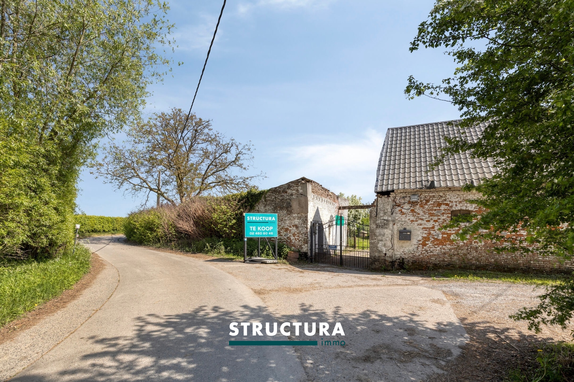 Hoeve met veel potentieel - foto 4