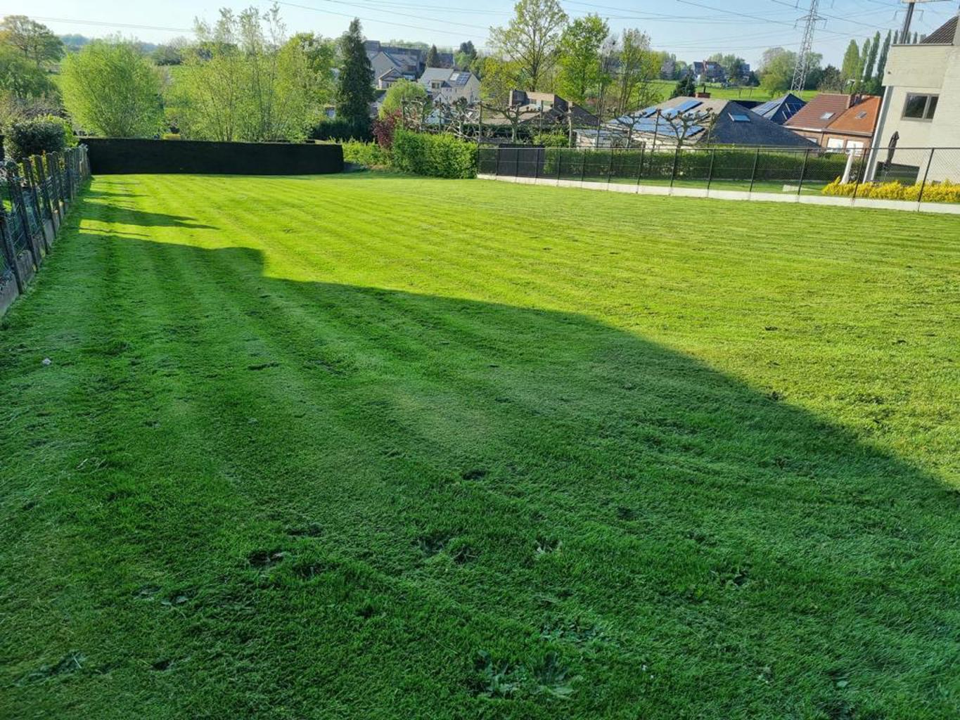 Terrain à vendre à Asse - photo 3