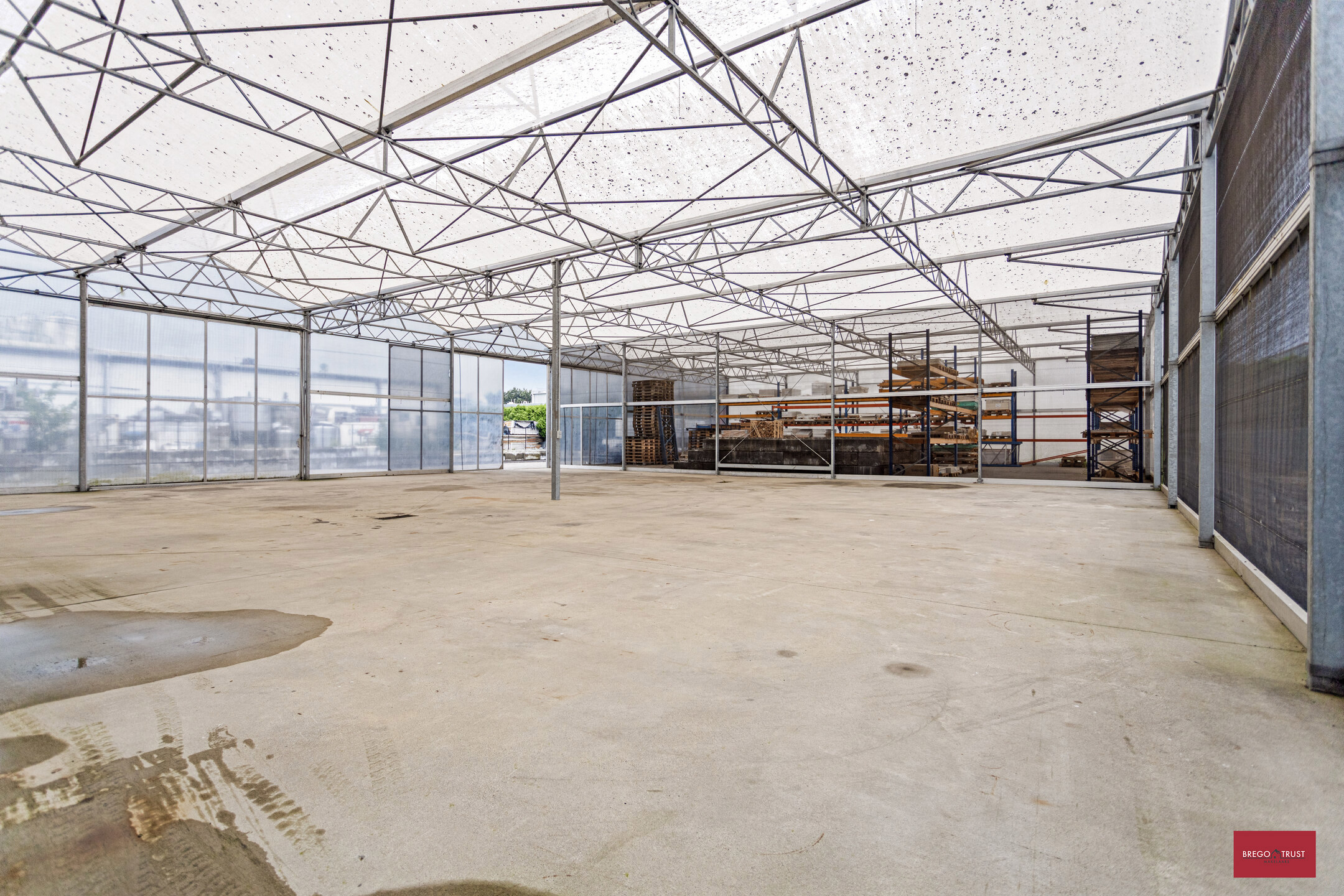 Serre (400m²) in Hoogstraten - foto 5