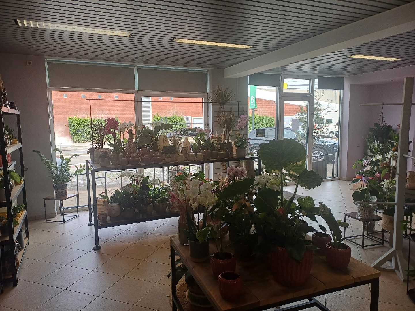 Commercial à vendre à Neerpelt - photo 2