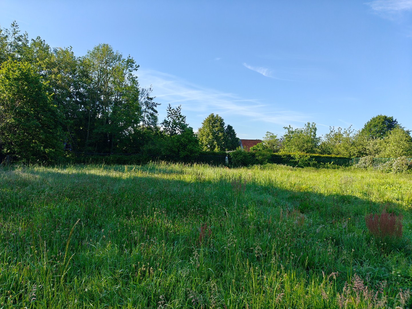 Terrain à vendre à Mol - photo 4