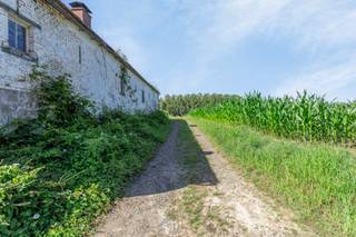 Te renoveren hoeve op een unieke locatie met groen verzicht in Zandbergen.Deze witgekalkte hoeve (282m²) met bijhorende schuur (171m²) uit de 19de...