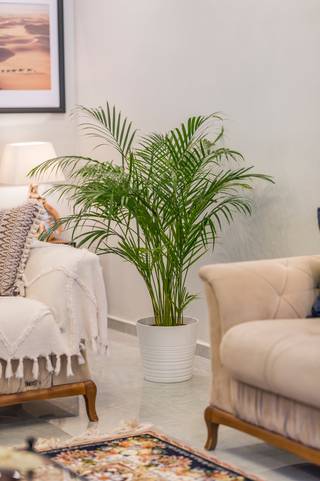 Maison à vendre à Saint-Nicolas