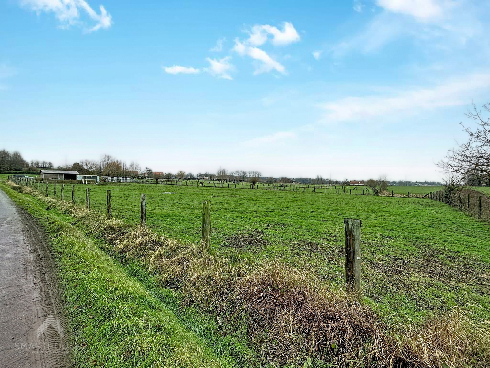 Weiland van 18.035 m2 met stal en oprit - foto 2