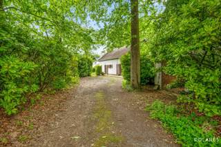 *** RÉSERVEZ VOTRE VISITE VIA WWW.POLARES.EU ***<br /><br />Au cœur d'un environnement exceptionnellement calme et boisé se trouve cette maison individuelle du milieu des années 50, située sur un magnifique terrain de pas moins de 27a 64ca. Entourée de jardin et de forêt, vous pourrez profiter d'une intimité optimale et d'une expérience naturelle unique. À l'arrière, ce cadre idyllique est complété par une magnifique vue dégagée sur la zone agricole.<br />Cette maison pleine de caractère est la base idéale pour ceux qui recherchent un projet de rénovation dans un endroit unique, où le calme, l'espace et la verdure sont au centre de tout.<br />Au rez-de-chaussée, la maison dispose d'un salon confortable avec cheminée, d'une cuisine, d'une salle à manger, d'un bureau ou d'une chambre supplémentaire et d'une salle de bains. À l'étage, vous trouverez un palier et deux chambres sous le toit. Le chauffage est au gaz via une citerne de propane.<br /><br />Le terrain est situé dans une zone agricole d'une grande valeur paysagère, ce qui place la maison dans une situation hors zone. Si l'état jugé conforme est suffisamment prouvé, les possibilités de rénovation, de transformation et/ou d'agrandissement peuvent être étudiées auprès de la commune de Huldenberg, conformément à la réglementation hors zone telle qu'elle est reprise dans le Code flamand. Plus d'informations au bureau !<br /><br />Pour vous inspirer, cette annonce est accompagnée de visuels réalistes qui donnent un aperçu clair du potentiel et des possibilités de rénovation de cette maison.<br /><br />Vous cherchez un endroit où vous pourrez vous ressourcer complètement, entouré par la nature, ou vous souhaitez transformer une maison pleine de caractère en votre maison de rêve ? Alors, ne manquez pas cette opportunité unique.<br /><br />Pour plus d'informations ou pour planifier une visite, contactez-nous via www.polares.eu.