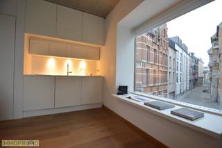 Zeer gunstig gelegen energiezuinige studio in klein gebouw,  nabij het eilandje, het centrum en de Sint-Paulusplaats. Livingruimte met  parket, ...