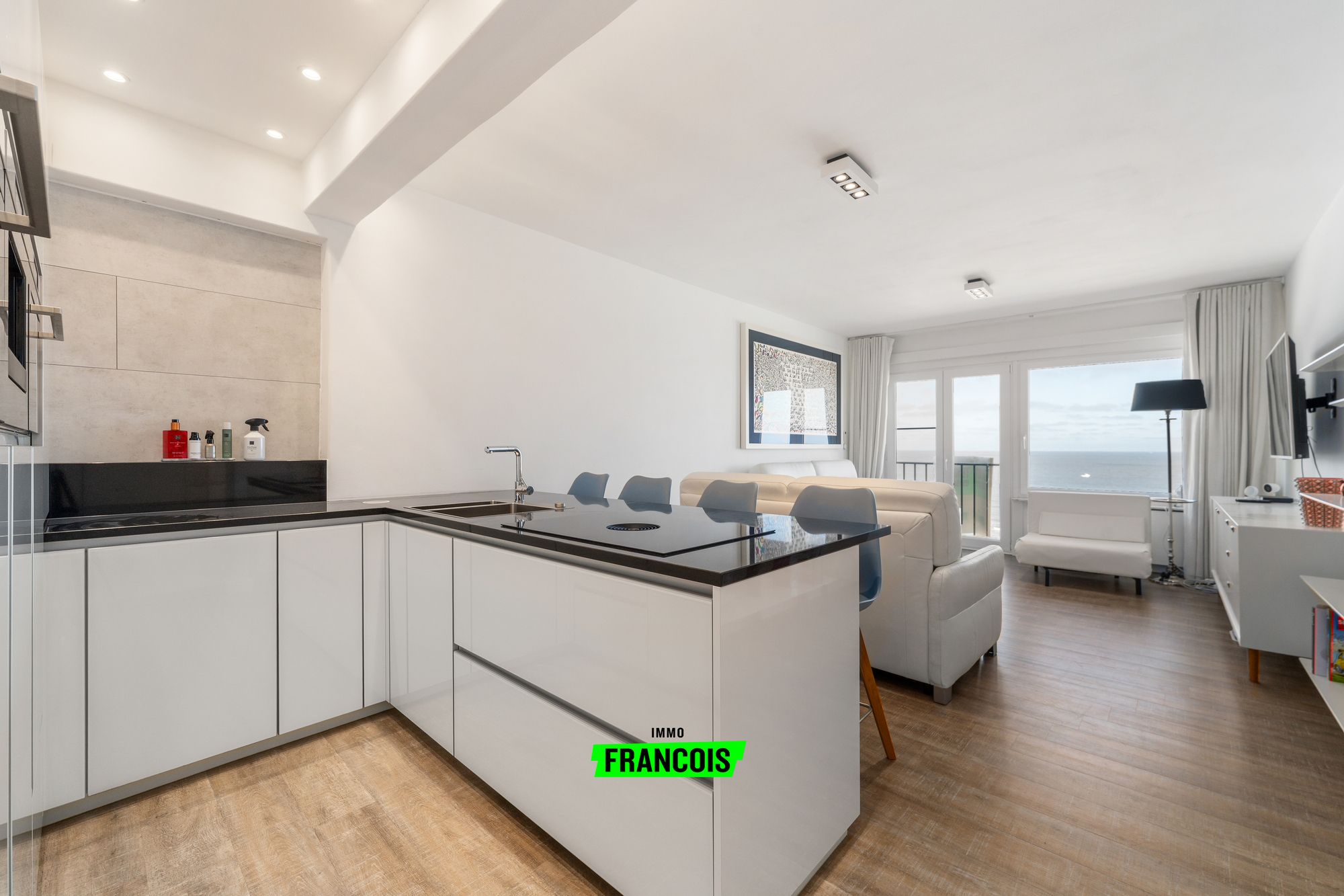 Gerenoveerde studio met frontaal zeezicht in Blankenberge - foto 2