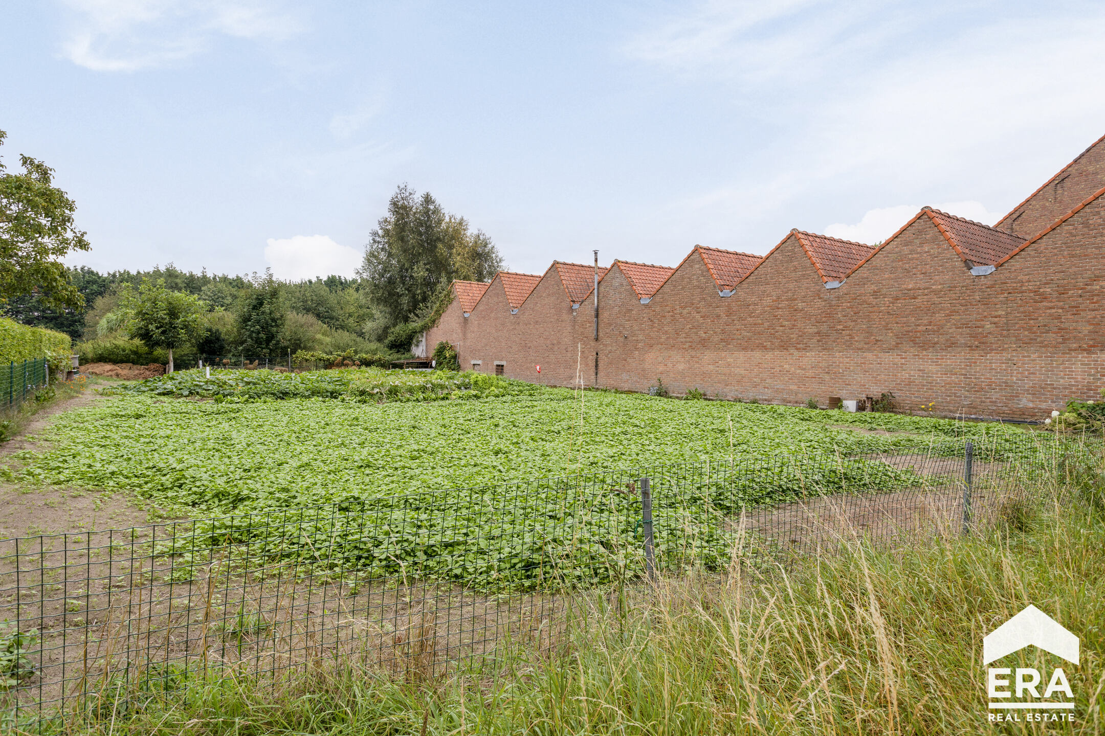 Bouwgrond geschikt voor open bebouwing in Wielsbeke - foto 4