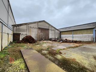 Fantastisch gelegen bedrijfsgebouw van 4.000 m² te huur in Zwevezele.De magazijnen beschikken over een volledige overspanning met een vrije hoogte...