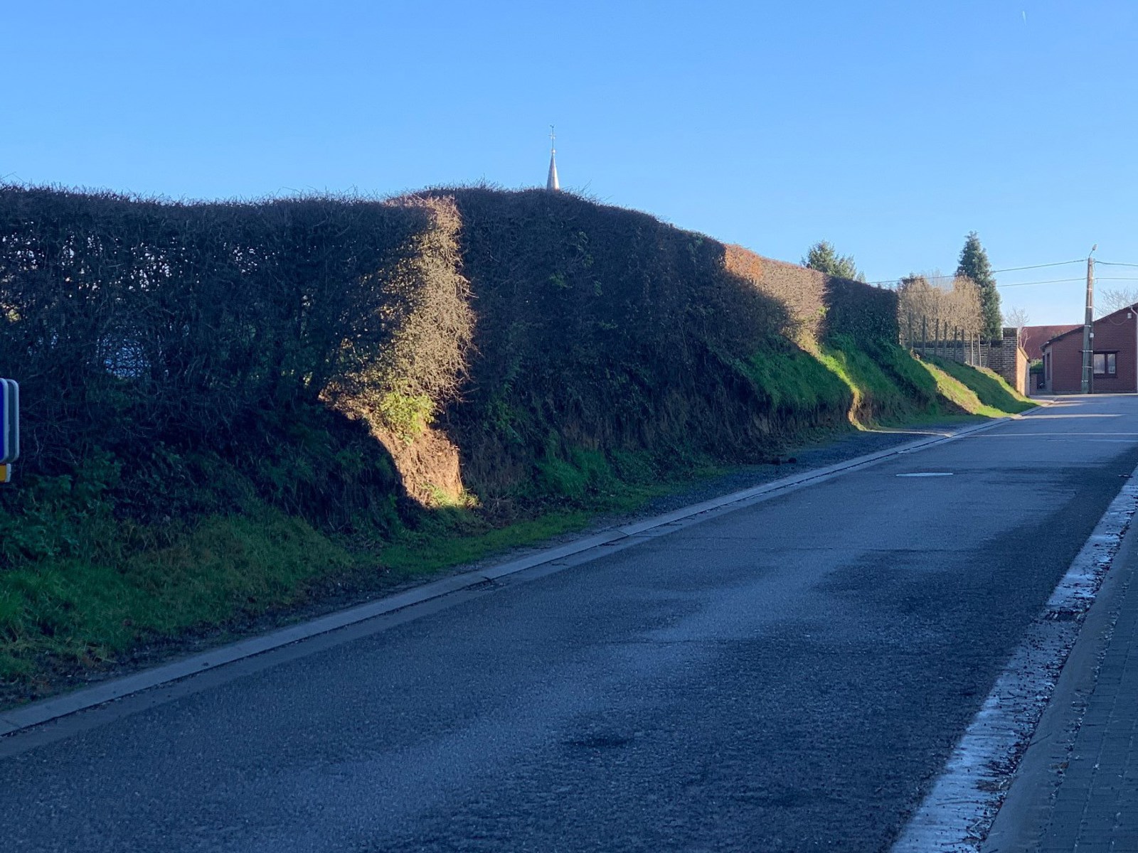 Ruim perceel met open bebouwing in Widooie (Tongeren) ideaal voor natuurliefhebbers - 630m² grond, tuin op het noordwesten - foto 4