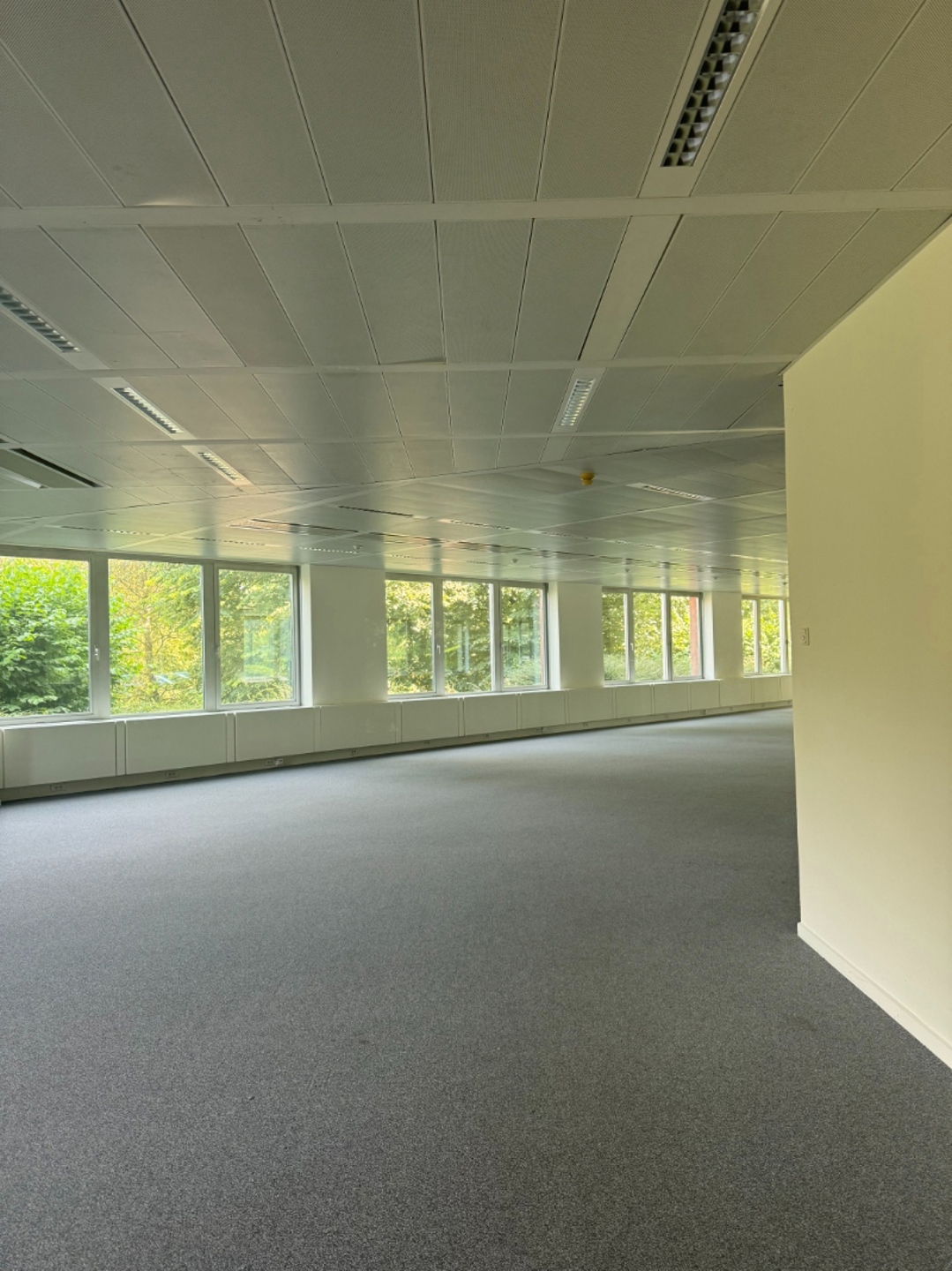 Commercial for rent in Waterloo - photo 3