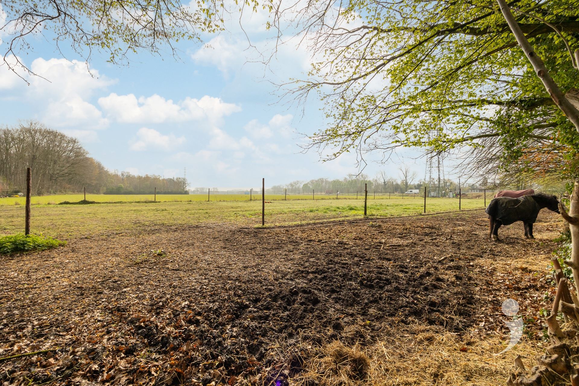 Charmante gezinswoning met uitzonderlijke tuin en weids uitzicht  - foto 3