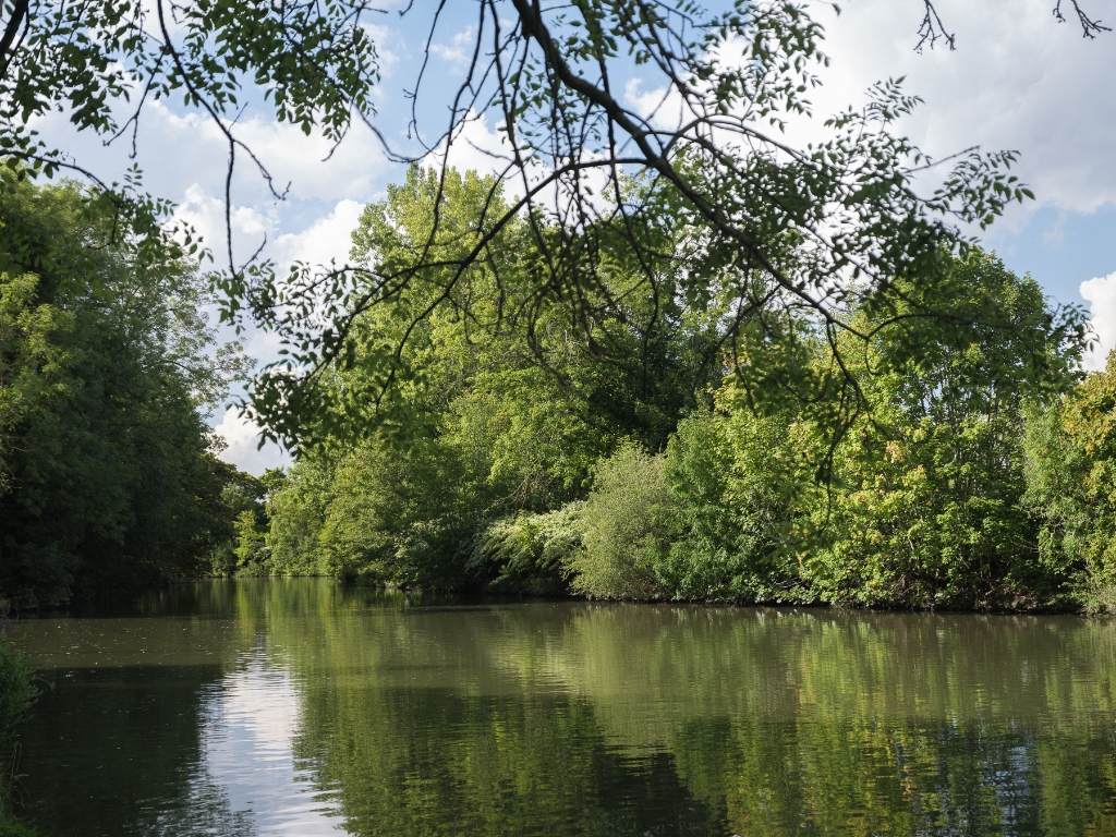 Vrijstaande villa (te renoveren) op slechts 50 meter van de Leie - photo 2