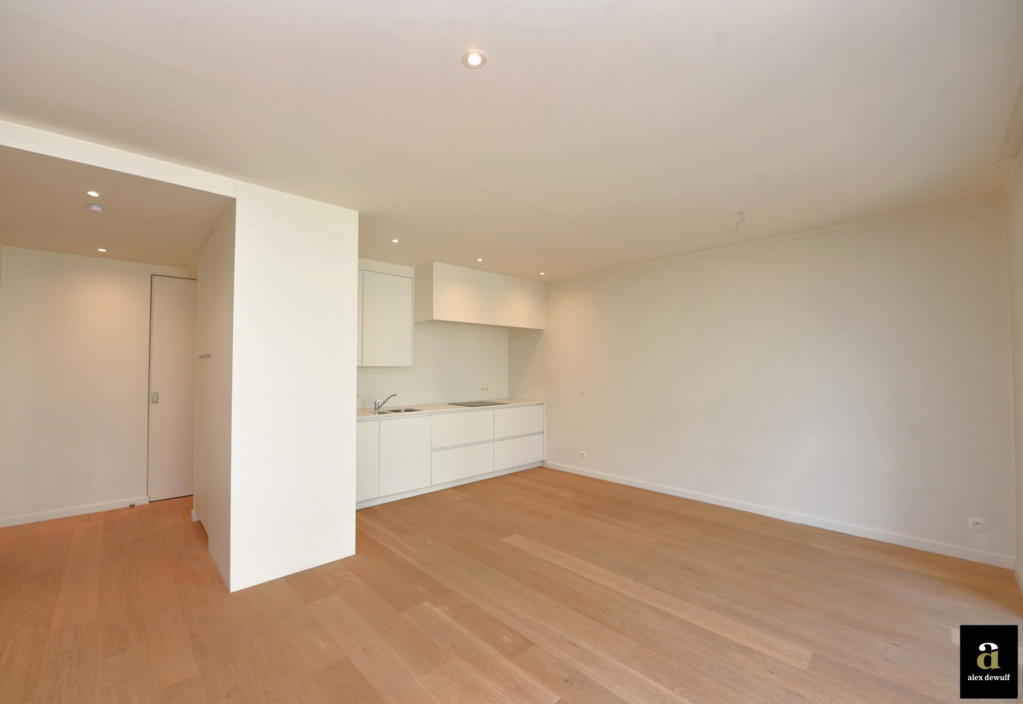 Ongemeubeld 1 slaapkamer appartement vlakbij het Rubensplein - foto 4