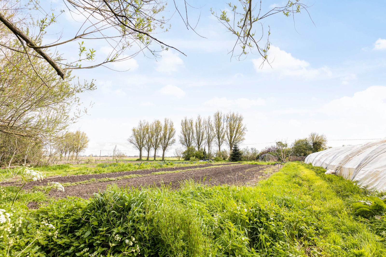 Karaktervolle hoeve met landerijen en vijver - foto 5