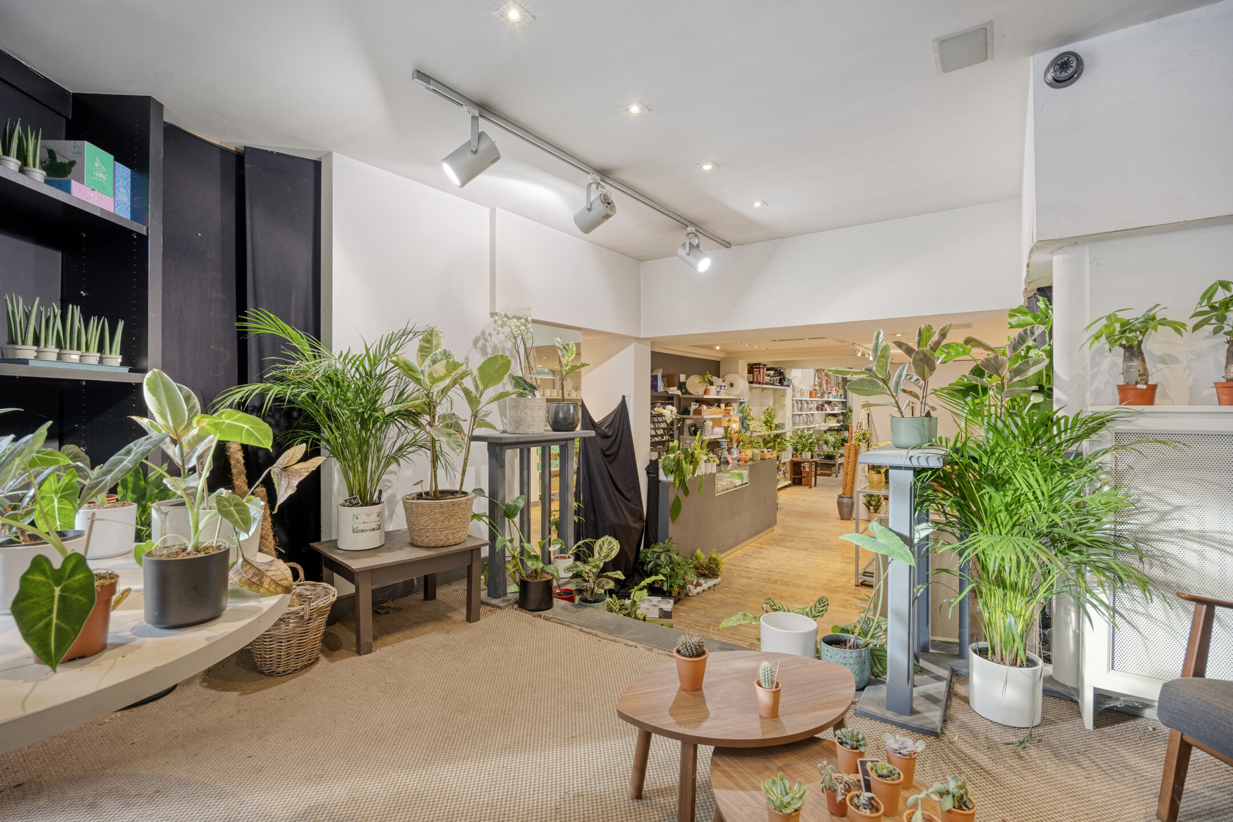 Commercial for rent in Leuven - photo 3