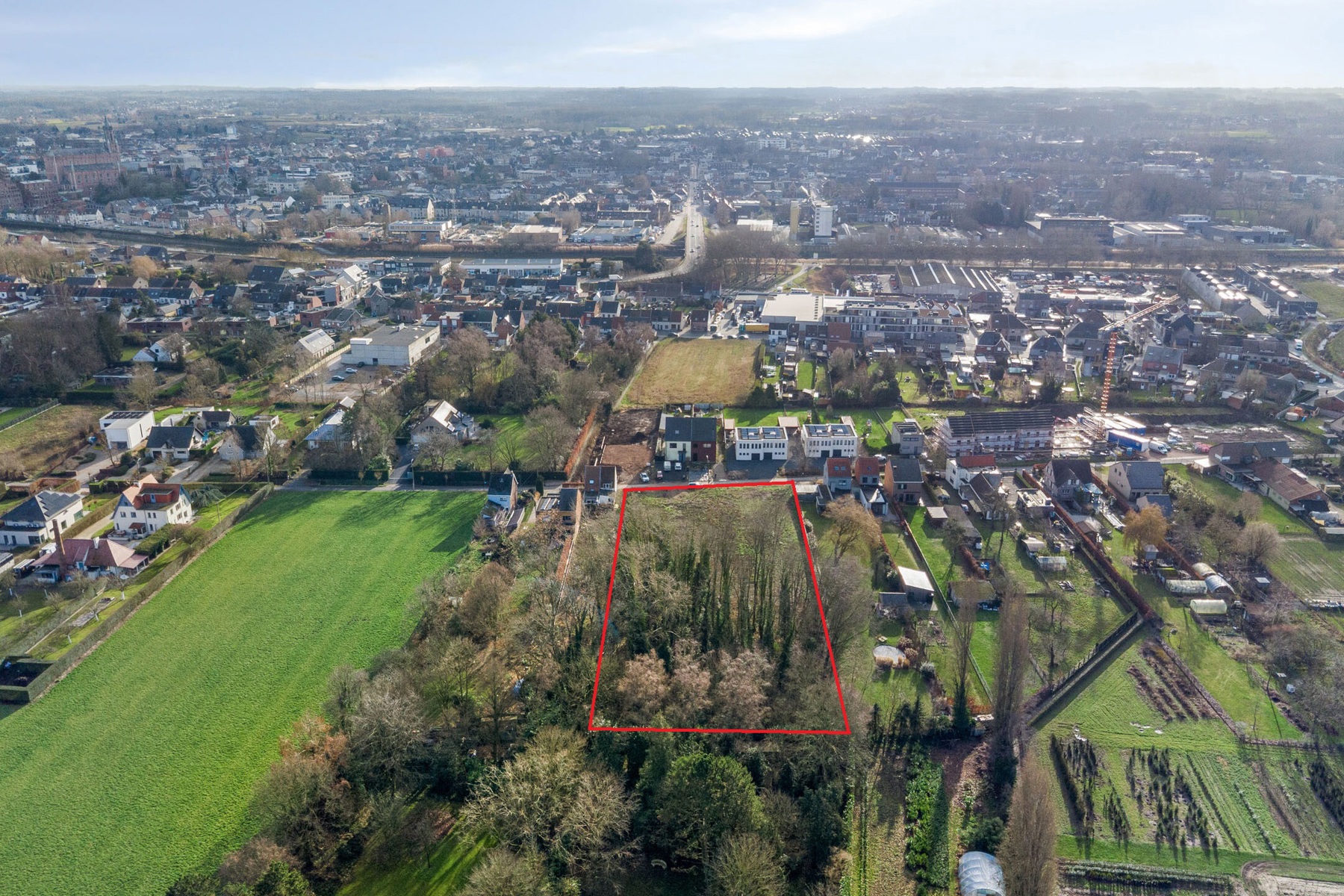 TE KOOP - bouwgrond halfopen bebouwing met stuk bos op 1276m² - foto 4