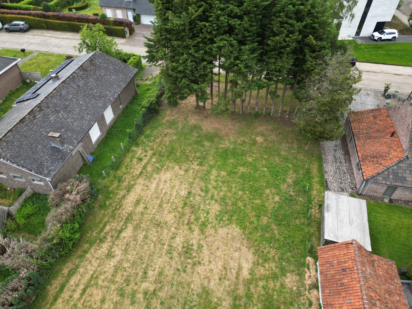 Bouwgrond te koop in Westerlo! - foto 2