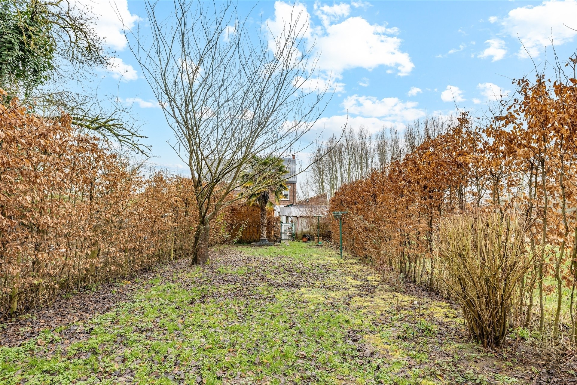 Gezellige woning met 3 slpks op een perceel van 7a 4ca - foto 4