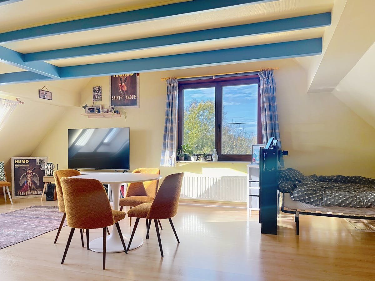 Penthouse avec 1 chambre à louer à Bruges - photo 3
