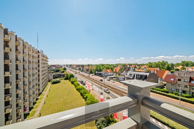 Centraal gelegen hoekappartement met zonnig terras en open zichten - foto 4