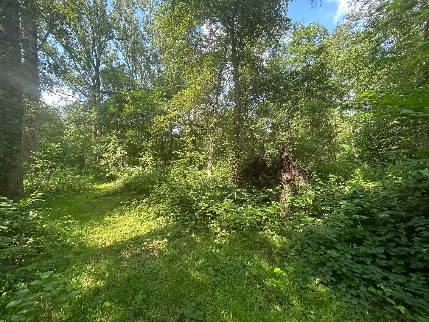 Uniek perceel van 87 are en 84 ca. met vijver in Geel - foto 2