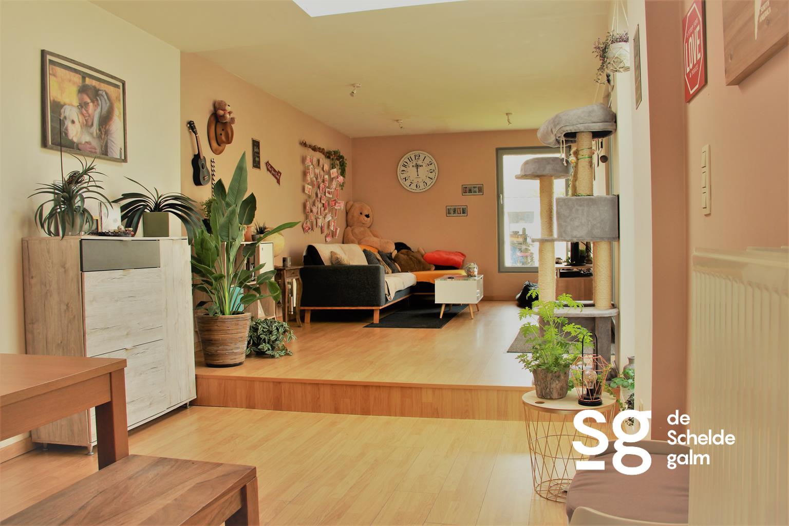 Huis te huur in Kruisem met 2 slaapkamers - foto 3