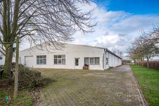 Authentieke hoeve met bijgebouwen op een perceel van meer dan 1 hectare, rustig gelegen in het landelijke “Het Rot” te Weelde. Deze...