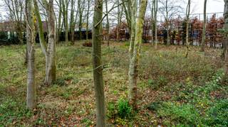 Land for sale in Gavere