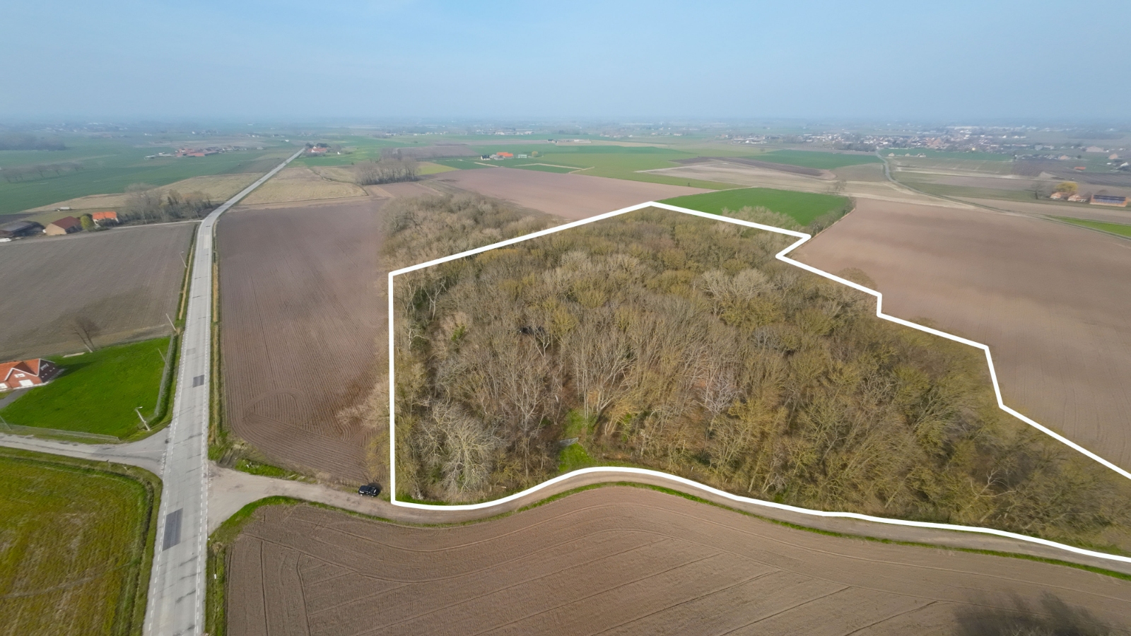 Meer dan 3ha bosgrond te Vladslo - foto 2