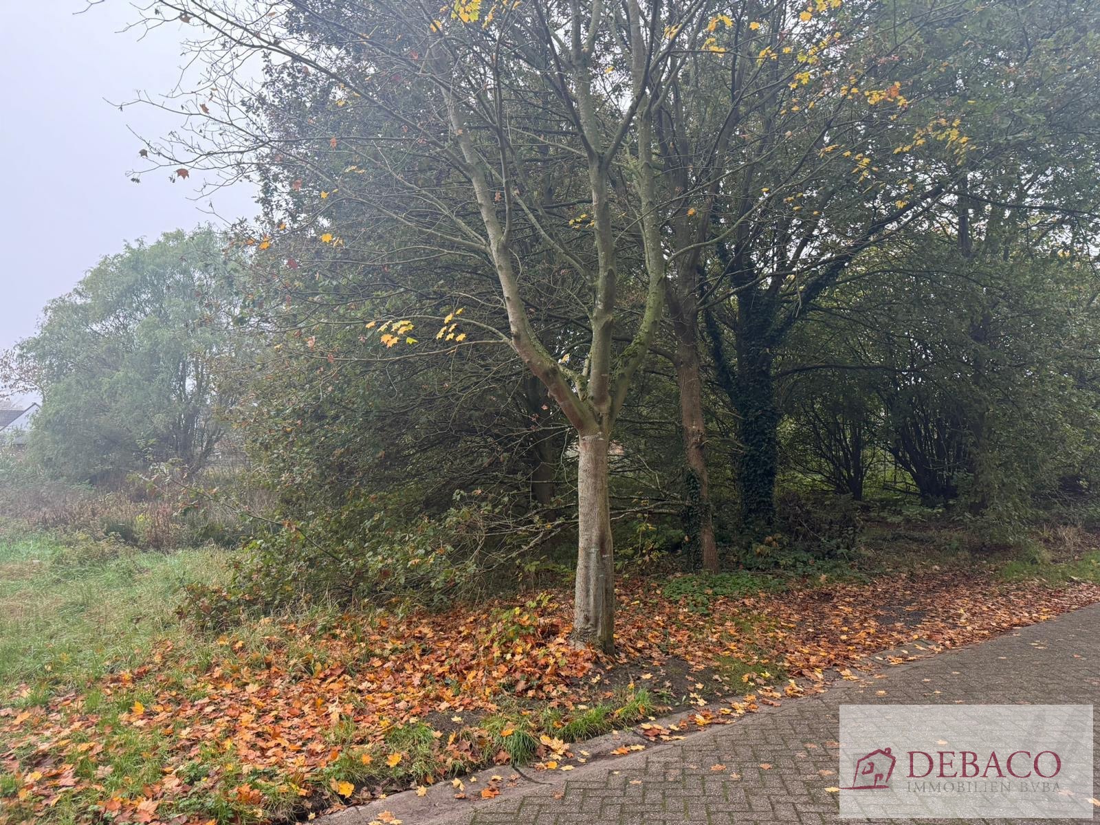 Terrain à vendre à Grobbendonk - photo 5