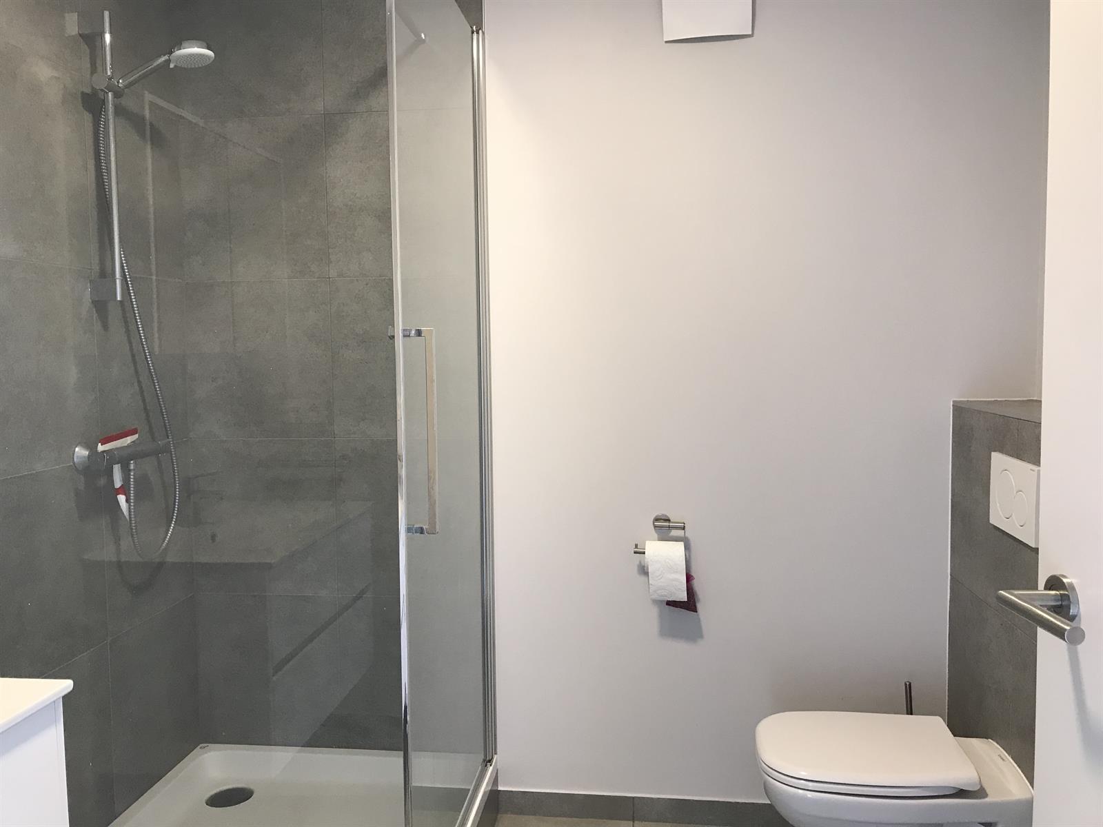 Ruim appartement met terras in het centrum van Tessenderlo - foto 5