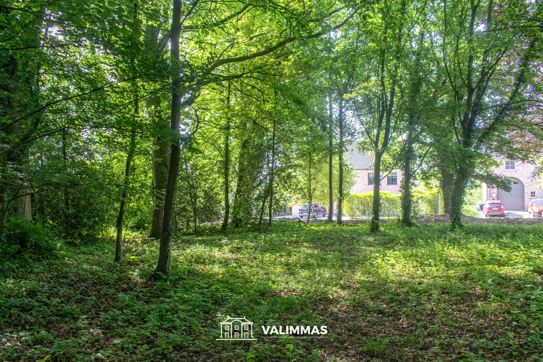 Centrum Asse: residentieel en rustig gelegen villagrond... - foto 5