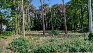 Gunstig en rustig gelegen perceel bouwgrond met een oppervlakte van 6a53ca. Gelegen vlakbij het centrum van Haacht.Zuid-oost...