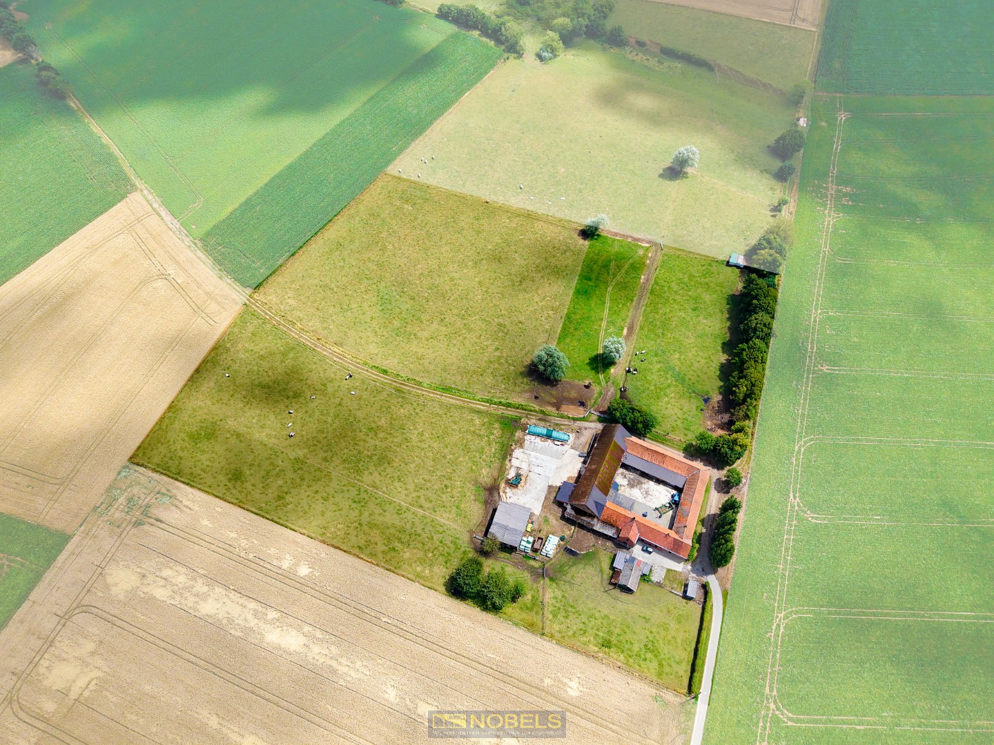 Te koop, uiterst rustig gelegen vierkantshoeve op 4 hectare te Maarkedal - foto 1