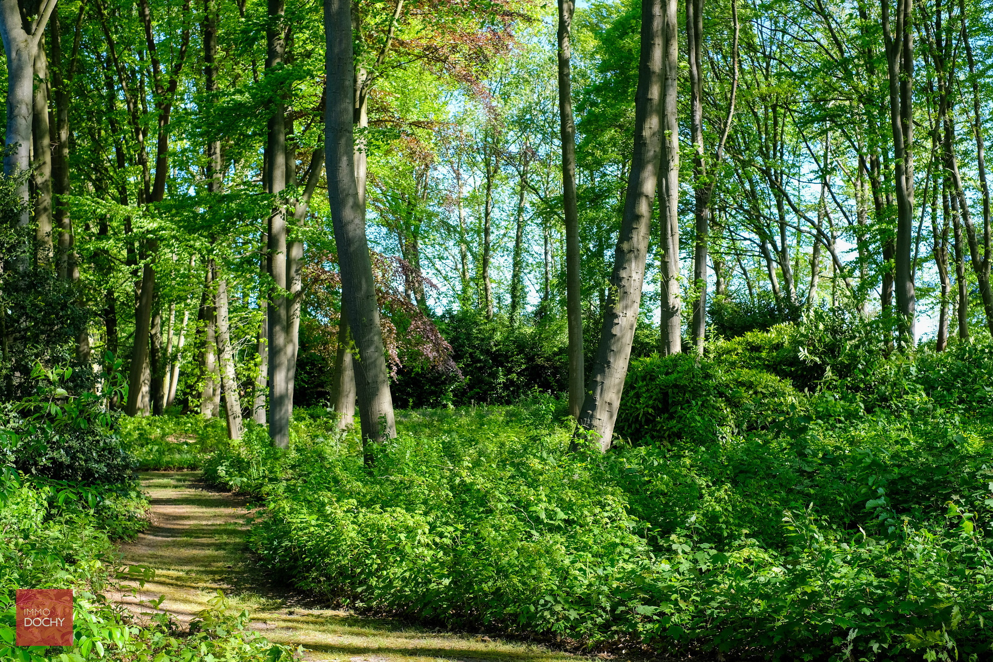 Uniek domein met ruime villa in prachtige parktuin op 2,7ha - foto 5